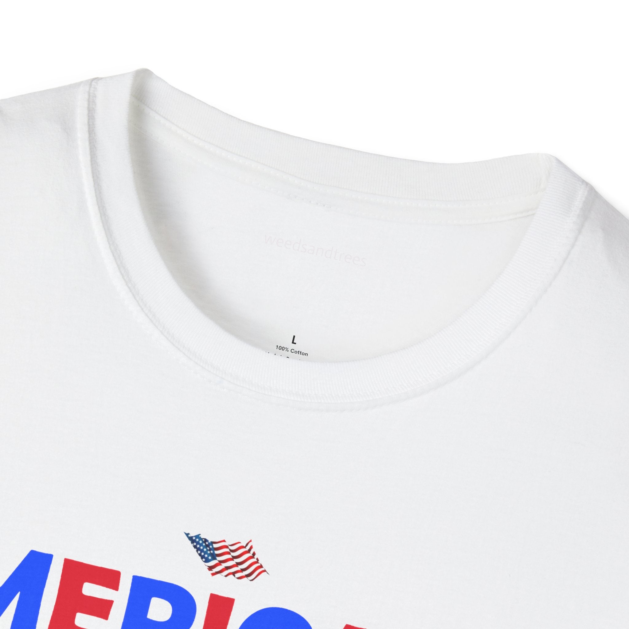 AMERICANS LOVE THE GULF OF MEXICO