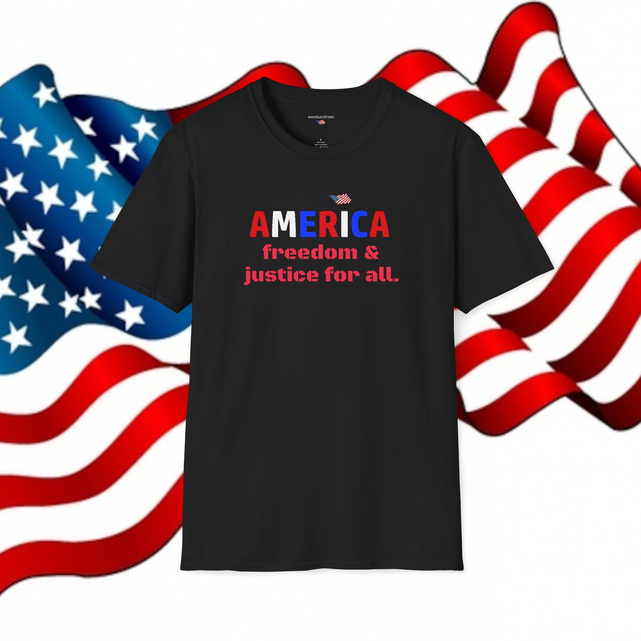 AMERICA FREEDOM & JUSTICE FOR ALL